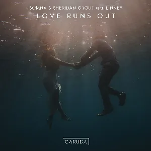 Pochette de Love Runs Out de Linney