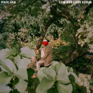 Pochette de Low End Love Songs de Pale Jay