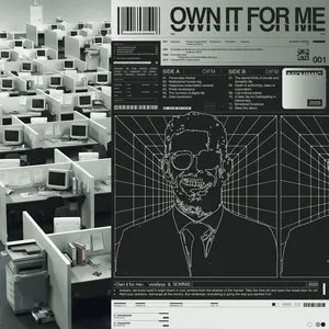 Pochette de Own it for me de insomaniac
