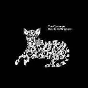 Pochette de Say Something New de The Concretes