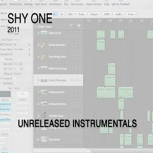 Pochette de 2010-2011 de Shy One