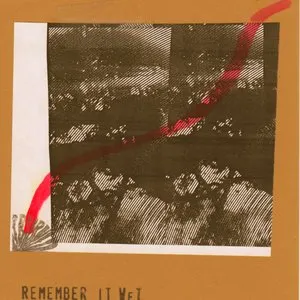 Pochette de Remember It Wet de Sunburned Hand of the Man