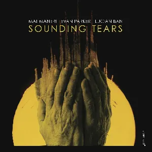 Pochette de Sounding Tears de Evan Parker - Mat Maneri