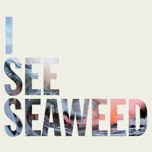 Pochette de I See Seaweed de The Drones