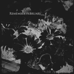 Pochette de Remember February de Viviankrist