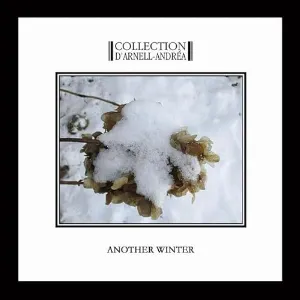 Pochette de Another Winter de Collection d’Arnell~Andréa