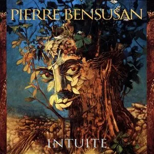 Pochette de Intuite de Pierre Bensusan