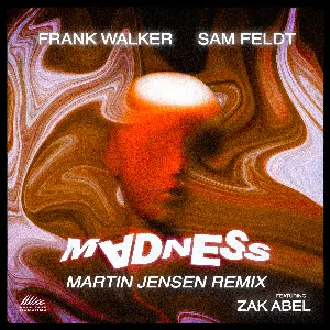 Pochette de Madness (Martin Jensen remix) de Sam Feldt
