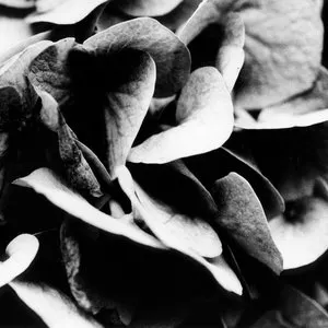 Pochette de Void XXIV de Chihei Hatakeyama