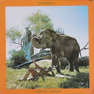 Pochette de I Am Not Afraid de Hugh Masekela