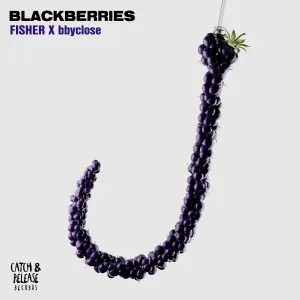 Pochette de Blackberries de FISHER