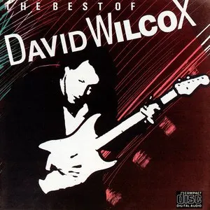 Pochette de The Best of David Wilcox de David Wilcox