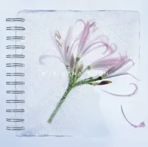 Pochette de ネリネ de KANA-BOON