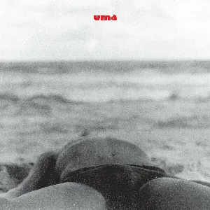 Pochette de Uma de Nando Reis