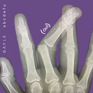 Pochette de abcdefu (chill) de GAYLE