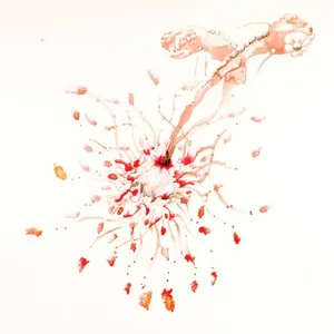 Pochette de Cancer de My Disco