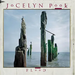 Pochette de Flood de Jocelyn Pook