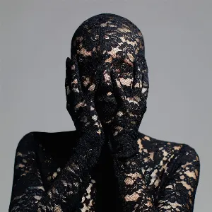 Pochette de Vampire at the Swimming Pool de Skylar Grey