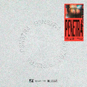 Pochette de Penetra (Pedro Sampaio remix) de Pabllo Vittar