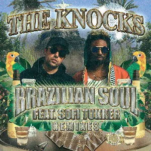 Pochette Brazilian Soul (remixes)
