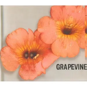 Pochette de 会いにいく de GRAPEVINE