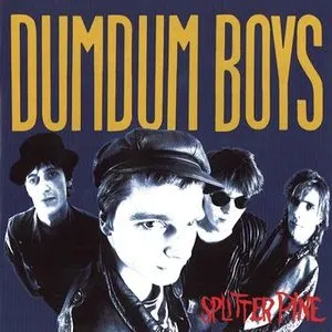 Pochette de Splitter Pine de DumDum Boys