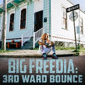 Pochette de 3rd Ward Bounce de Big Freedia