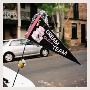 Pochette de Dream Team de The Grates