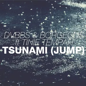 Pochette Tsunami (Jump)
