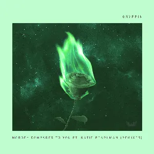 Pochette de Nobody Compares To You (remixes) de Gryffin