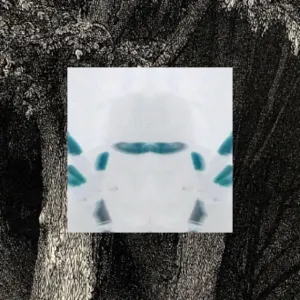 Pochette de ICANTELL de 2hollis