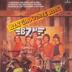 Pochette de Grootste hits de BZN