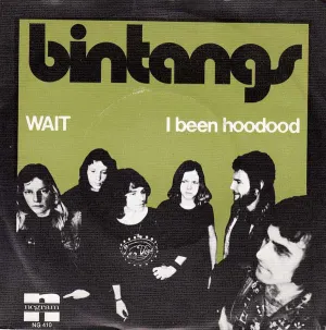 Pochette de Wait / I Been Hoodood de Bintangs