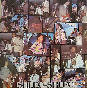 Pochette de A New York - Maestro Tony Moise de Les Shleu-Shleu