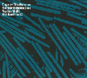 Pochette de Hot Burrito #2 de Eugene Chadbourne