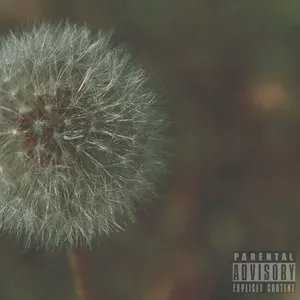 Pochette de HX.3 de Knxwledge