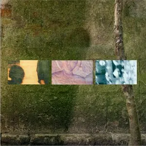 Pochette de Three Halves de The Orielles