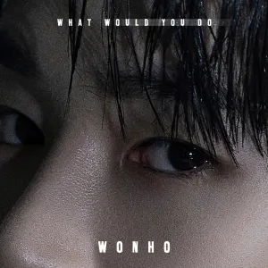 Pochette de What Would You Do de WONHO