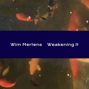 Pochette de Weakening It de Wim Mertens