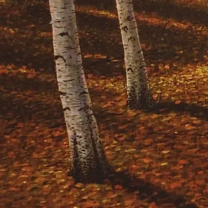 Pochette de Birchvale de invention_