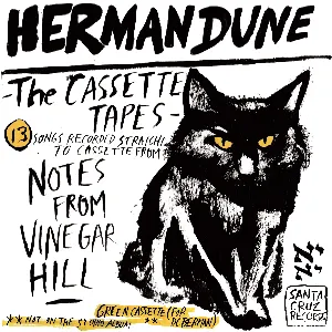 Pochette The Cassette Tapes from Vinegar Hill