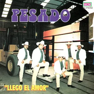 Pochette de Llegó el amor de Pesado