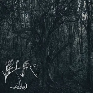Pochette de Affliction de Self