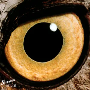 Pochette de natural de SHERBETS