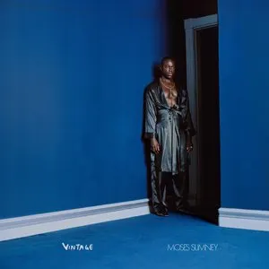 Pochette de Vintage de Moses Sumney