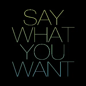 Pochette de Say What You Want de Funky DL