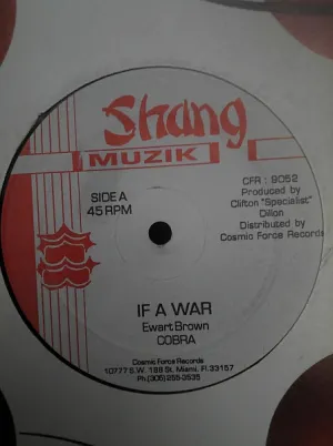 Pochette de If A War de Mad Cobra