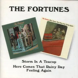 Pochette de Storm in a Teacup / Here Comes That Rainy Day Feeling Again de The Fortunes