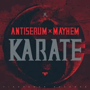Pochette de Karate de Antiserum