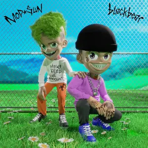 Pochette de Heavy de blackbear